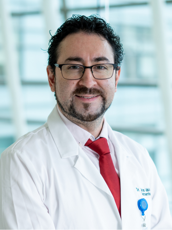 Dr. Carlos Valdebenito Uribe